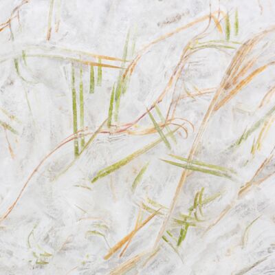 1. Platz: Hugo Wassermann - Eisdesign