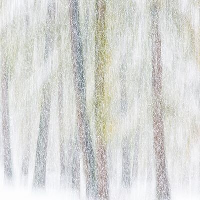 2. Platz: Hugo Wassermann - ErsterSchneefall