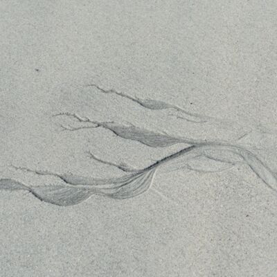 4. Platz: Max Drescher - Sand