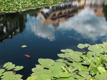 Spieglein Spieglein