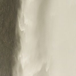 7. Platz: Alfred Erardi - Eissturmvogel