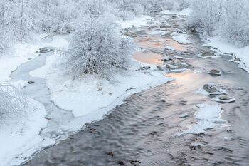 Winter am Bach / Inverno sul fiume