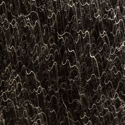 10. Platz: Johannes Wassermann - Tanzende Schneeflocken