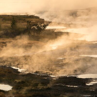 8. Platz: Alfred Erardi - Naturelemente