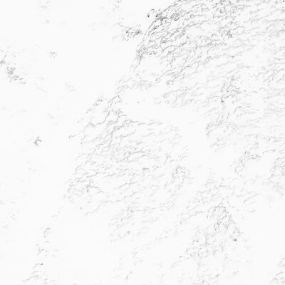 4. Platz: Gerd Tauber - Steinbock