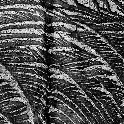 10. Platz: Silvan Lamprecht - Eisbuch