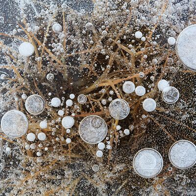 10. Platz: Sepp Hackhofer - Im Eis