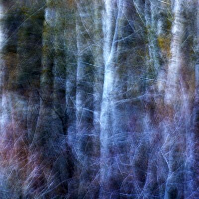 10. Platz: Stefano Baglioni - Astrazione nel bosco