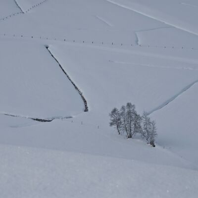 6. Platz: Gerhard Tauber - Bergwiesen