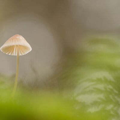 2. Platz: Manuel Plaickner - Im letzten Licht