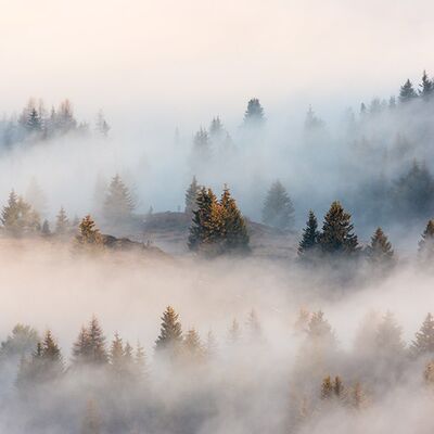 9. Platz: Manuel Plaickner - Fichten