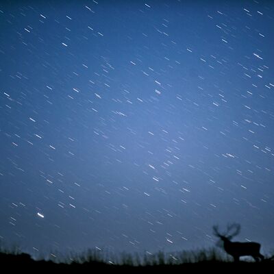 10. Platz: Stefano Baglioni - Presenze