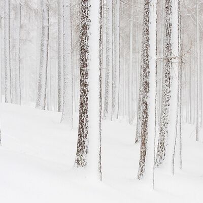 3. Platz: Helmut Elzenbaumer - Wintereinbruch