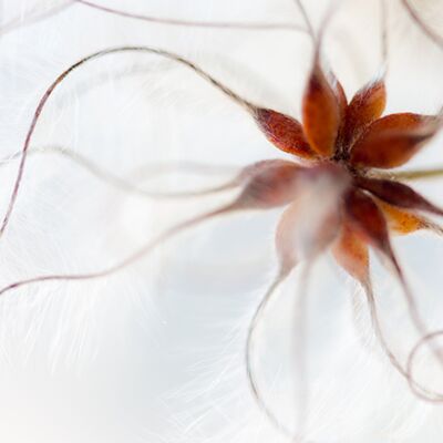 3. Platz: Plaickner Manuel - Waldreb