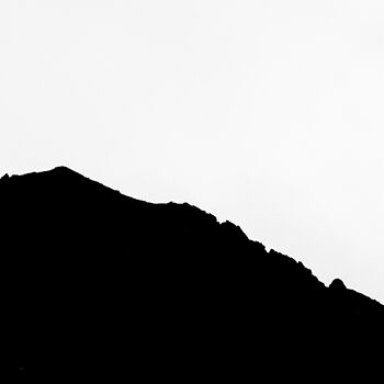 4. Platz: Hugo Wassermann - Rothirsch