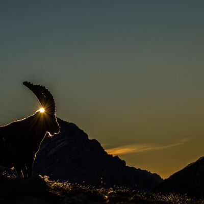 8. Platz: Valter Pallaoro - I primi raggi di sole