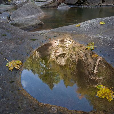 8. Platz: Pallaoro Walter