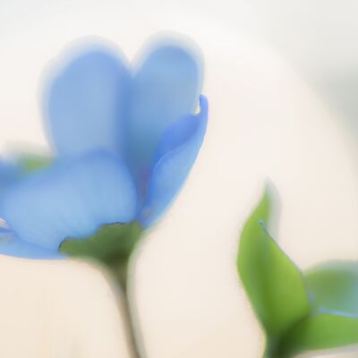 5. Platz: Martin Brugger - zart und fragil