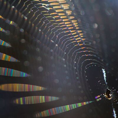 5. Platz: Valter Pallaoro - La giusta angolazione