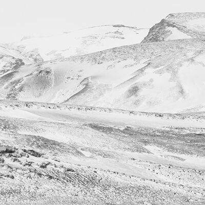 5. Platz: Hugo Wassermann - Angezuckert