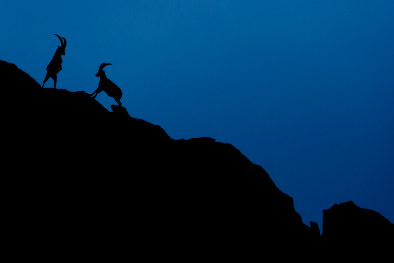 © Johannes Wassermann – Rangordnung