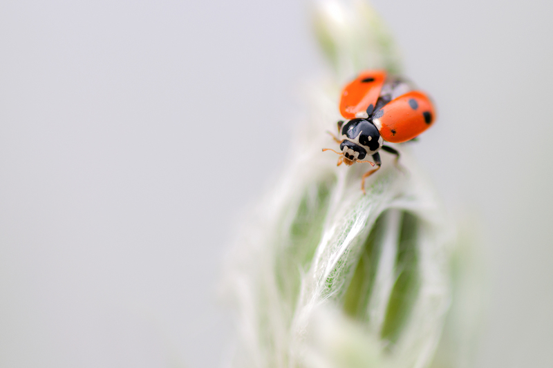 © Martin Brugger – Startbereit