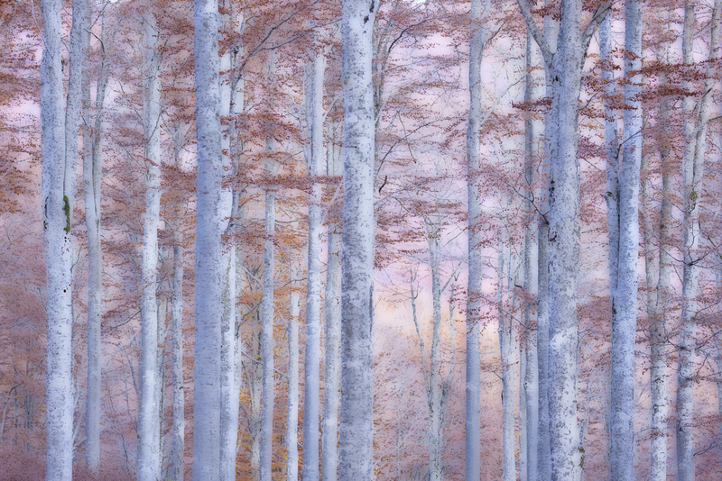 © Helmut Elzenbaumer – Gemälde