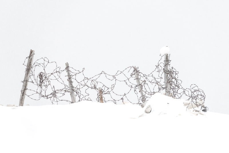 © Gerd Tauber