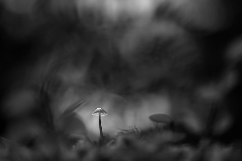 © Manuel Plaickner – Pilz